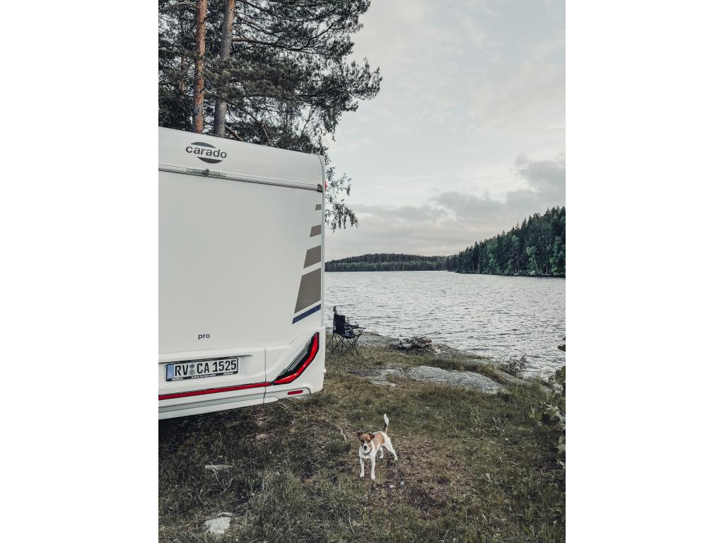 Carado –  V337 PRO+ foto-detail